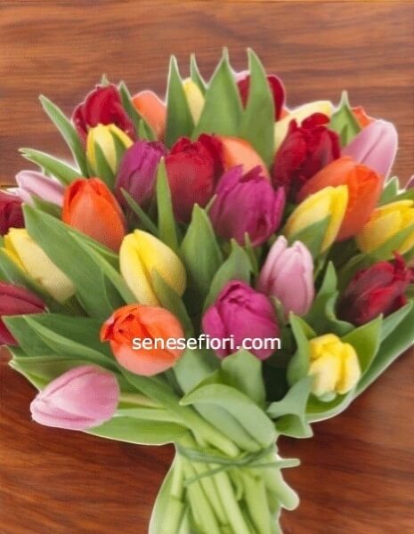 Bouquet di Tulipani Freschi