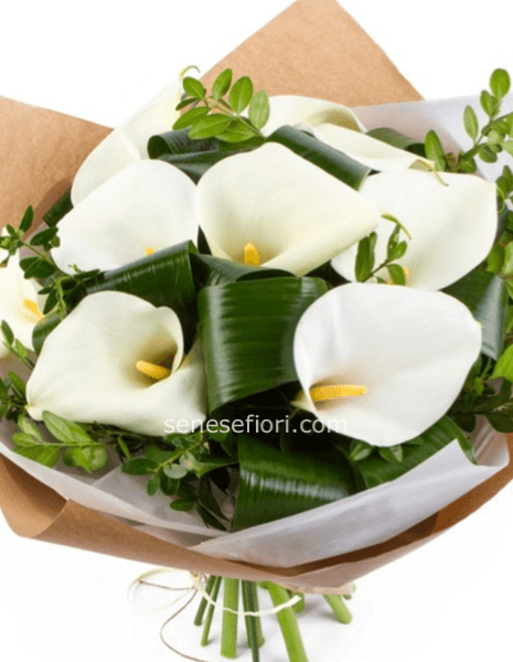 Consegna Calle a Domicilio a Napoli: Eleganza Pura e Senza Tempo