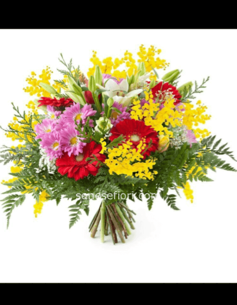 Bouquet Assortito & Mimosa: Un'Esplosione di Colori
