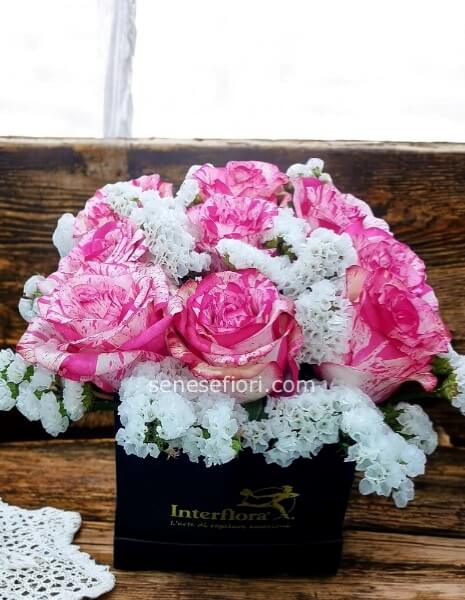 Flower box rose rosa