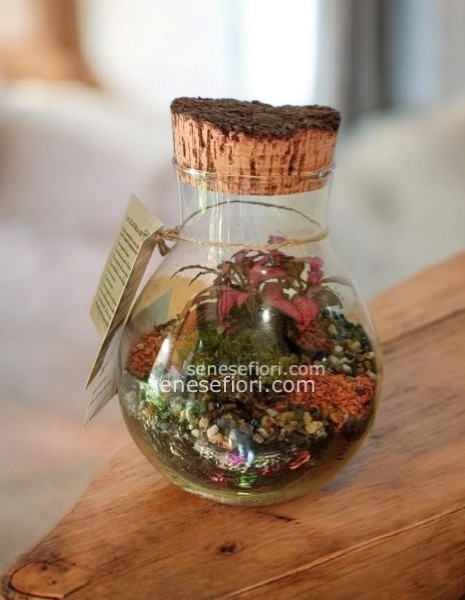 Terrarium Passione