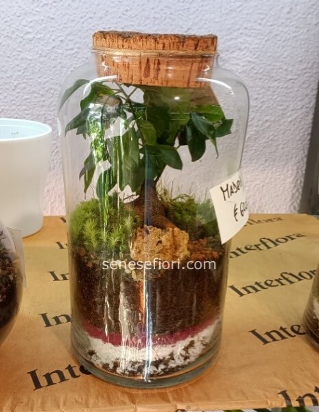 terrarium madrid