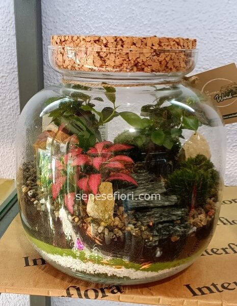 terrarium osaka